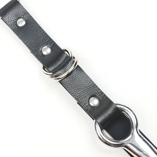 Collar with Kinky 5853 Leash EverydayUse and Anal Hook 0610